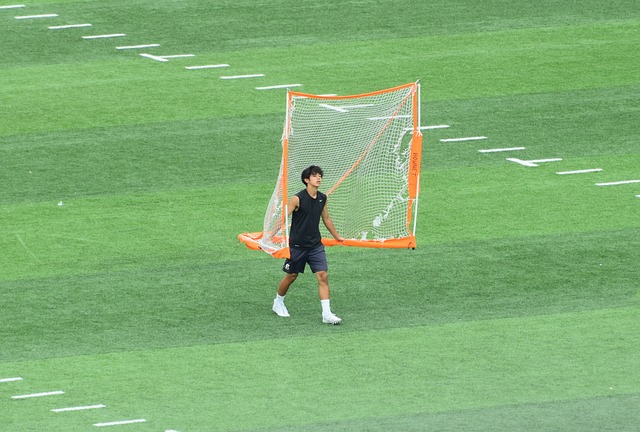 岗比例下限