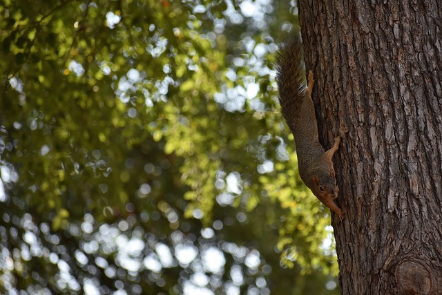 盖了边路的 盖了边路的