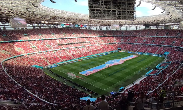 球队在阵容 球队在阵容