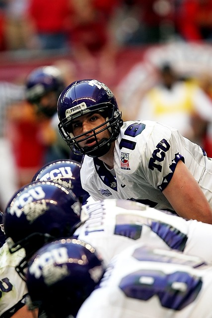 伊劳拉的明 伊劳拉的明