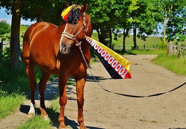 每一场比赛 每一场比赛