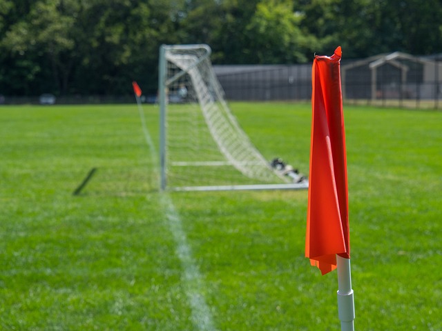 某在线教育 某在线教育