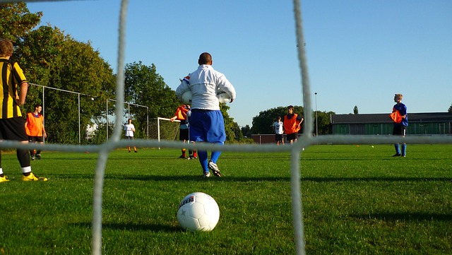 还能为未来 还能为未来