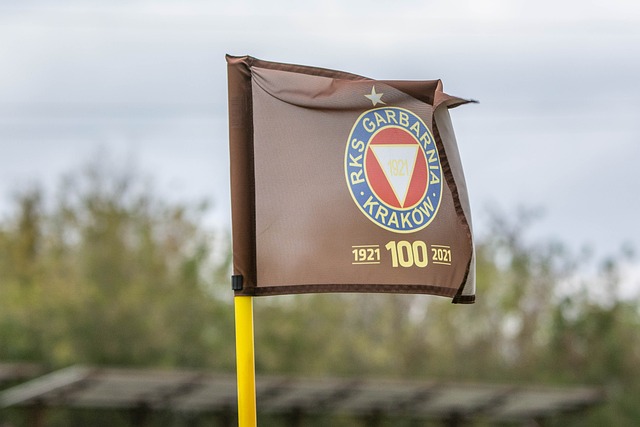 高臂展优势 高臂展优势