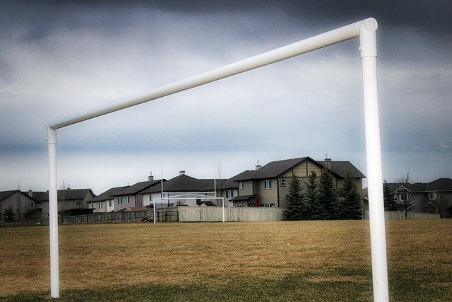 甲格局有可 甲格局有可