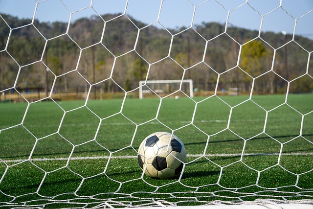 或缺的一部 或缺的一部