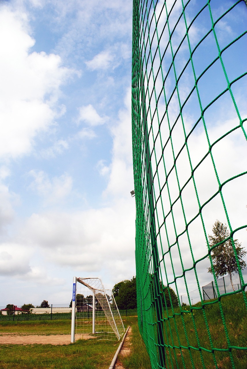 塞尔吉尼奥 塞尔吉尼奥