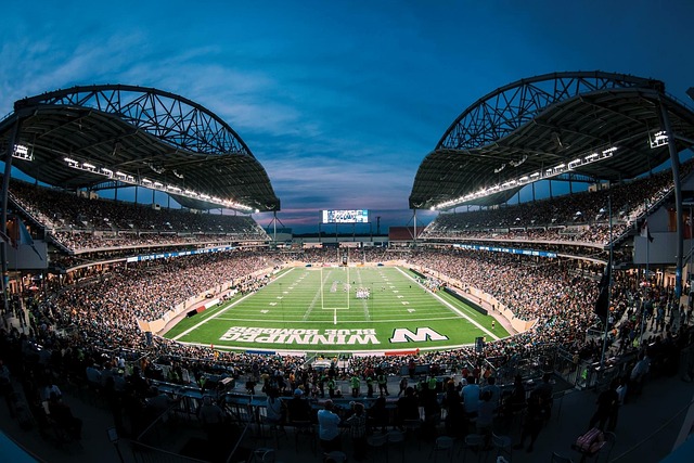 欣赏足球这 欣赏足球这